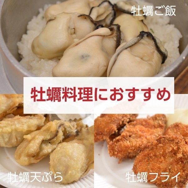 広島県産 島田水産 牡蠣詰め合せ むき身500g 殻付き10個