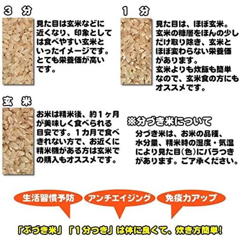 当日精米山形県産 はえぬき 30kg 紙袋 令和4年度産 (7分づき 27.9kg×1袋)