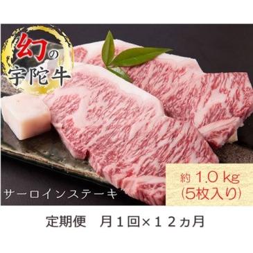 ふるさと納税 定期便 １２ヶ月 宇陀牛 黒毛 和牛 サーロイン ステーキ 約 1kg ５枚入 冷蔵 月１回 ／ 山繁 ふるさと納税 新鮮 牛 肉 キャン.. 奈良県宇陀市