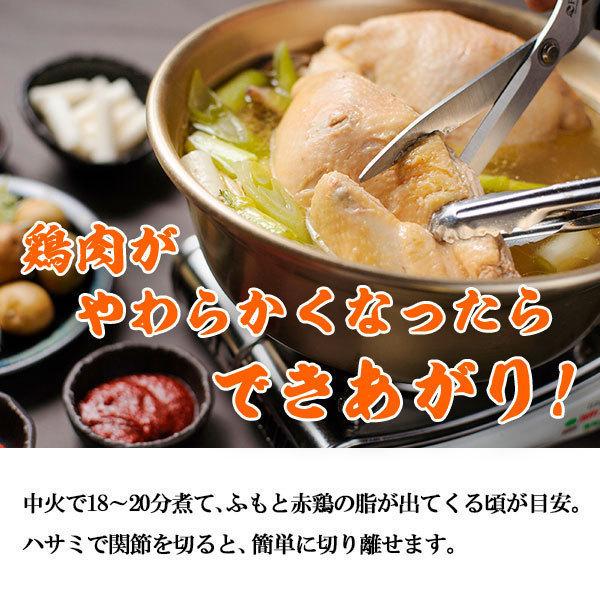 タッカンマリ 韓国 水炊き 鍋料理セット 2〜3人分 コラーゲンたっぷり 丸鶏半身 約1.1kg 下処理済み 九州産 なでしこ姫鶏 トッポギ 独楽