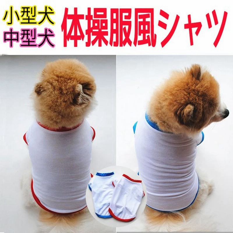 送料無料 犬 猫 服 体操服 体操着 ペット服 ドッグウェア キャットウェア 犬服 春 夏 赤 青 レッド ブルー 通販 Lineポイント最大0 5 Get Lineショッピング