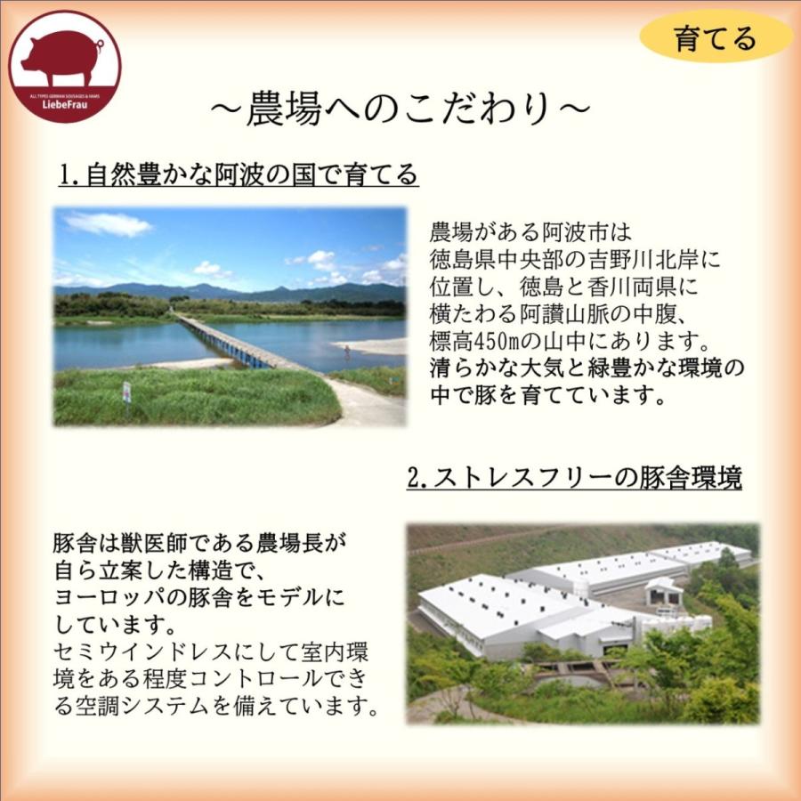 ソーセージ ウインナー 無添加 ぐるぐるソーセージ 徳島県産 阿波美豚 250g