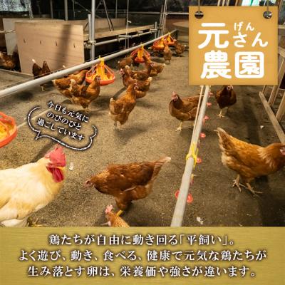 ふるさと納税 佐伯市  元さん農園 平飼い赤鶏のたまご (計10個)