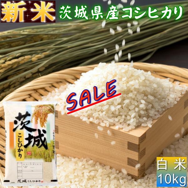 セール おすすめ 新米 10kg コシヒカリ お米 5年産 茨城県産 送料無料『令和5年茨城県産コシヒカリ白米10kg』