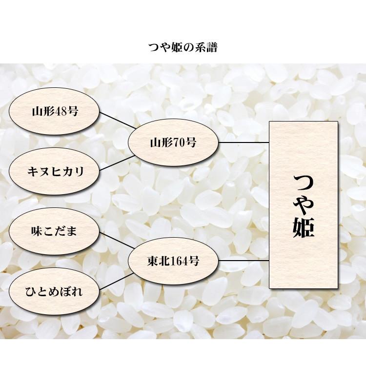 新米 お米 10kg 白米 送料無料 つや姫 5kg×2袋 宮城県産 令和5年産 1等米 お米 あす着く食品 北海道・沖縄は追加送料