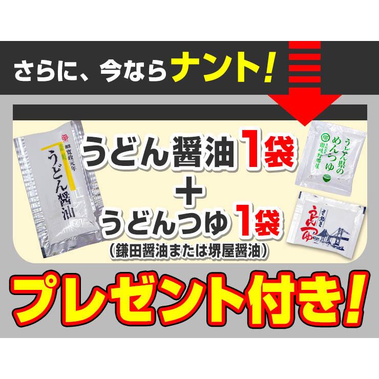 純生 讃岐 うどん ドーンと6食 便利な個包装 300g×2袋 600g 醤油 つゆ プレゼント 送料無料 最安値挑戦  得トクセール 特産品 訳あり 激旨