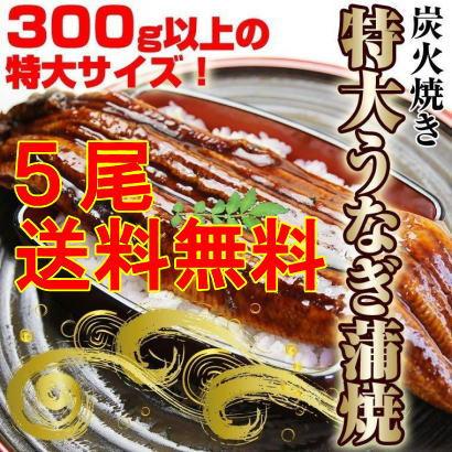 うなぎ 蒲焼き 5尾 中国産 約３００ｇ業務用 送料無料　特大 　ギフト