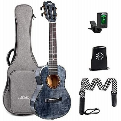 殿堂 ARIA custom shop AP 交渉受けつけます - grupofranja.com