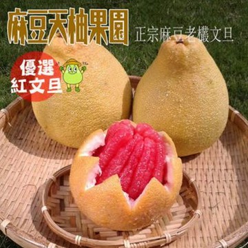 麻豆天柚果園 優選紅文旦5斤/箱 (約3-5顆/箱) (中秋送禮)
