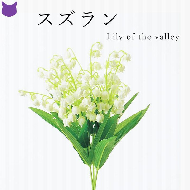 すずらんです 71iNdRuBv6L._UY300_.jpg