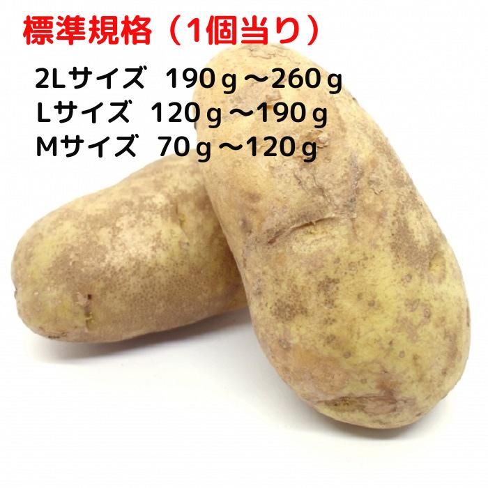 北海道産 たまねぎ Ｌサイズ 10kg ＆ じゃがいも（メークイン）Lサイズ 10kg （合計20kg）