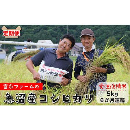 ふるさと納税 富永ファーム魚沼産コシヒカリ（精米）5kg 新潟県魚沼市