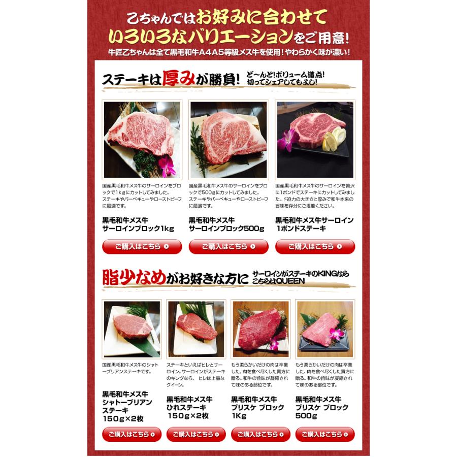 めす牛 サーロインステーキ 400g (200g×2枚) 焼肉 国産 牛肉 黒毛和牛 A4 ランク 高級 ギフト 2023  お取り寄せグルメ