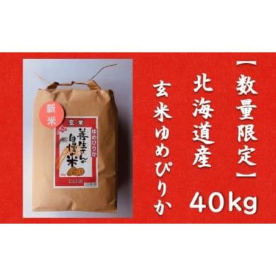 ふるさと納税 北海道 岩見沢市 令和5年産！『100%自家生産玄米』善生さんの自慢の米 玄米ゆめぴりか４０kg※一括発送