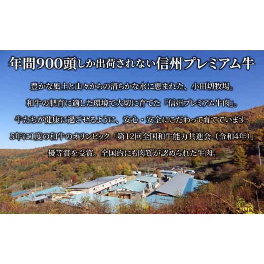 ふるさと納税 長野県 東御市 信州プレミアム牛使用「信州和牛カレー」５個セット（１個1人前160g）