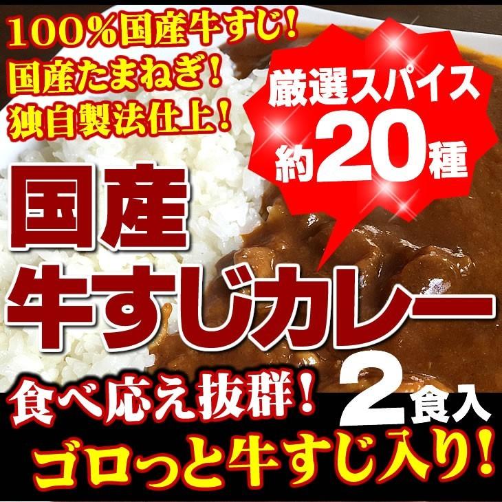 牛すじカレー 2袋 100％国産 牛すじ たまねぎ使用 中辛 惣菜 レトルト 送料無料 非常食 おつまみ 珍味 牛肉 ご飯のお供 贅沢