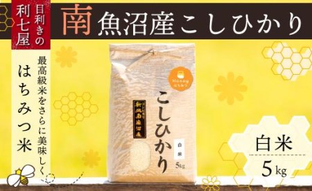 南魚沼産コシヒカリ『はちみつ米』白米5kg×全6回