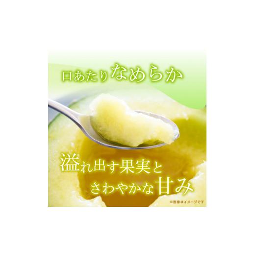 ふるさと納税 茨城県 鉾田市 完熟収穫ならではの旨味「ほこたメロン／緑肉」1箱（2個入）