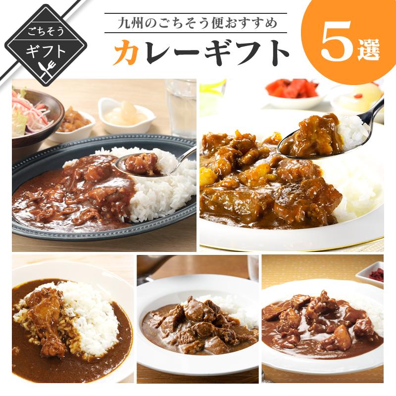 九州のごちそう便 カレーギフト 牛すじ 黒豚 ビーフ 地鶏 牛もつ 各2パック合計10食