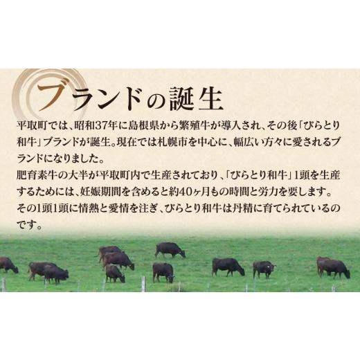 ふるさと納税 北海道 平取町 ”上質な霜降り”と”味わい深いジューシーな”和牛サーロインステーキ200g×3枚