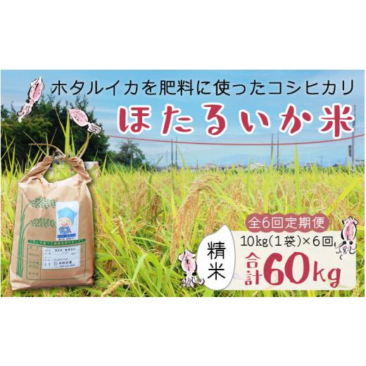 ふるさと納税 富山県 滑川市 ほたるいか米（精米10kg）×6回 計60kg