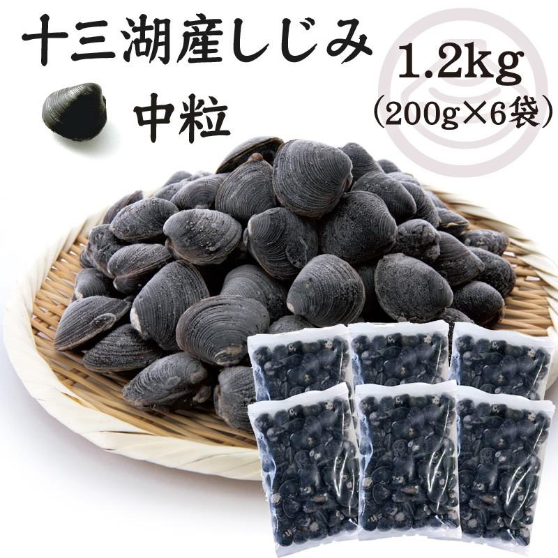 しじみ シジミ 蜆 十三湖 津軽  青森 冷凍　十三湖産冷凍しじみ  中粒 1.2kg（200g×6袋）