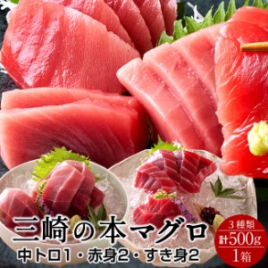 まぐろ 天然 本まぐろ 詰合せ 500g［中トロ1、赤身2、すき身2］刺身用 ねぎとろ 三浦三崎 マグロ 詰め合わせ 神奈川県産 通販 産直［秋の