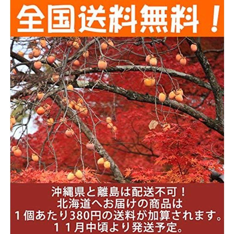 愛媛県 丹原産 あたご柿 約１０ｋｇ 枝付渋柿 干し柿 つるし柿