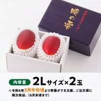 令和６年産 宮崎県産完熟マンゴー「時の雫」２L×２玉