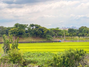 大湳商圈近置地廣場⭐大地坪別墅⭐置產投資｜桃園市桃園區國際路一段