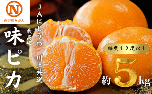 E08-24.ＪＡにしうわの季節の柑橘（川上共選　味ピカ 5kg）