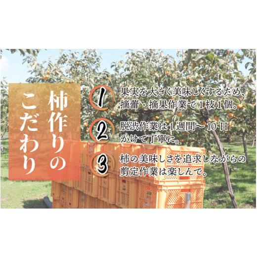 ふるさと納税 福井県 あわら市 越前柿 16個入 約2.5kg（M〜2L）≪JA受賞歴親子２代≫ ／ 果物 フルーツ 柿 産地直送 期間限定 ※2024年11月上旬よ…