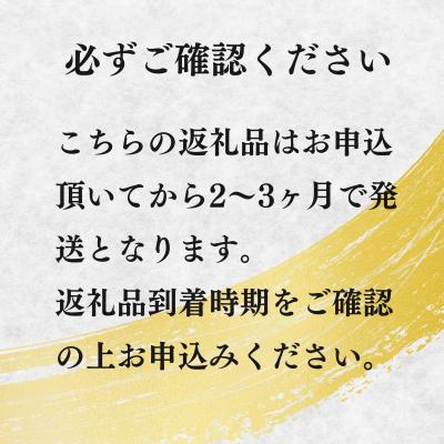 ふるさと納税 高千穂町 宮崎牛 リブロースステーキ600g 万能だれ付き