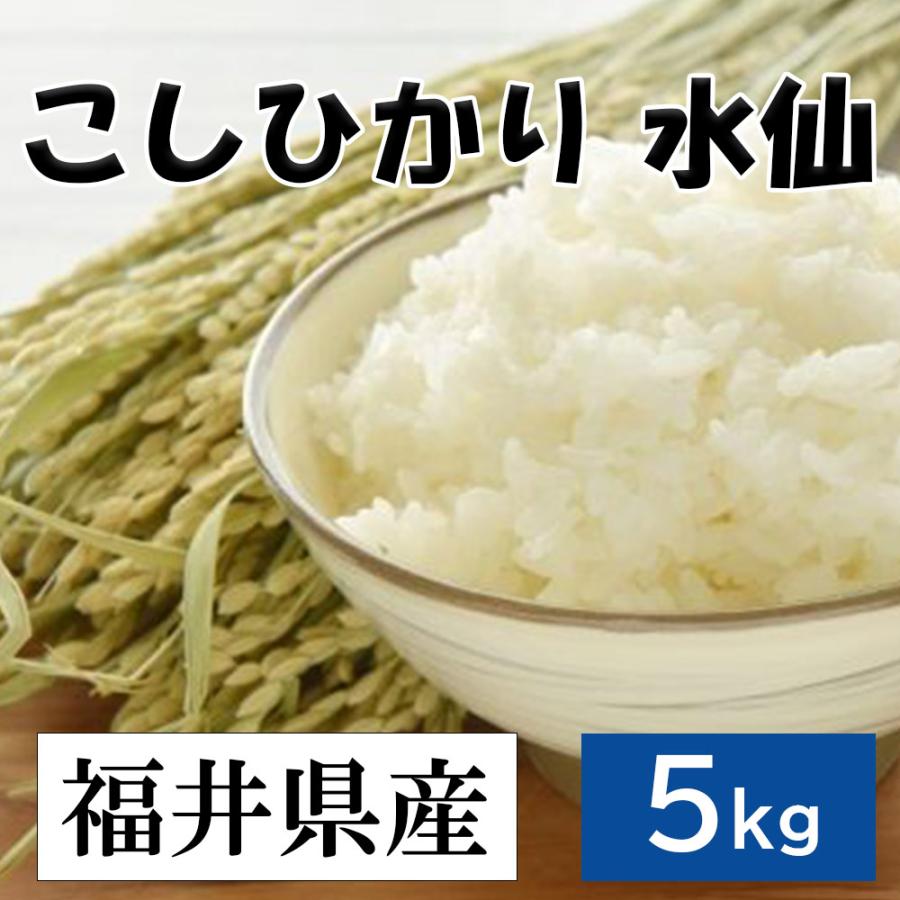 令和5年度産のお米　福井産　こしひかり(水仙)　コシヒカリ 5kg