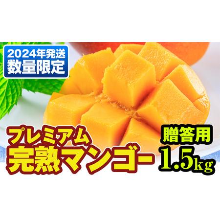 ふるさと納税 数量限定！プレミアム完熟マンゴー1.5kg　贈答用 沖縄県南風原町