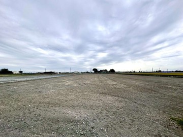 專任.竹塘鄉平坦方正農地｜彰化縣竹塘鄉竹塘段