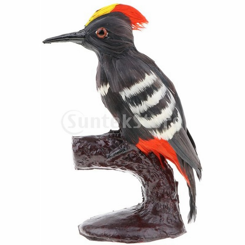 Perfeclan リアル 動物おもちゃ 人工羽毛 キツツキ フクロウ鳥模型 鳥モデル 玩具 3色選択 キツツキ 1 通販 Lineポイント最大0 5 Get Lineショッピング