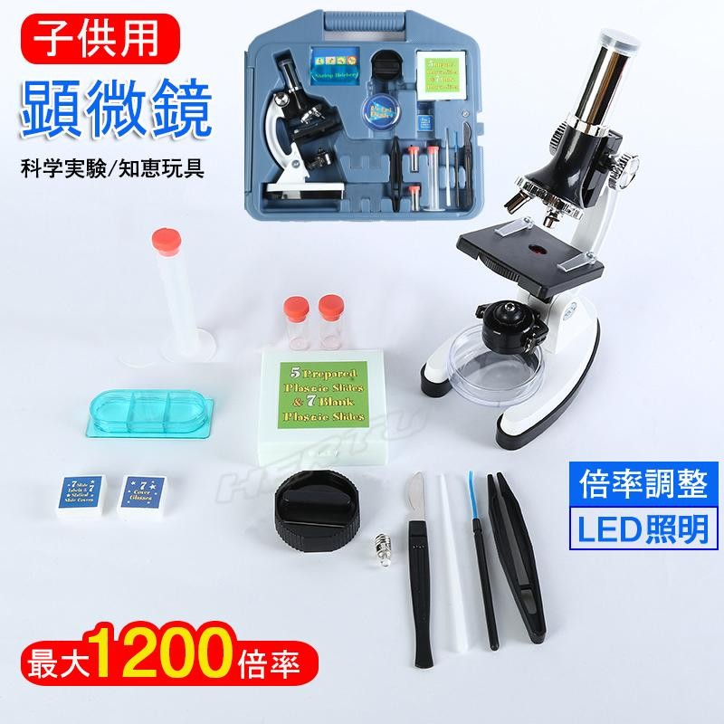 マイクロスコープセット MICROSCOPE SET 300倍率 顕微鏡