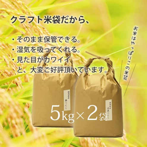 玄米 10kg 食べ比べ セット 特A米 元気つくし A米 夢つくし 各5kg 計2袋 福岡県産 玄米 米 コメ