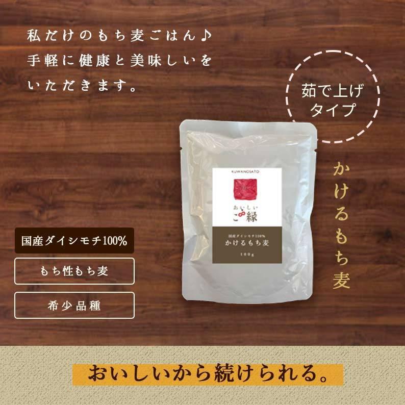 もち麦 国産 ゆでもち麦 100g 2袋セット 送料無料 (国産 希少ダイシモチ100%) 食物繊維 無添加 もちむぎ ダイシモチ 加熱済