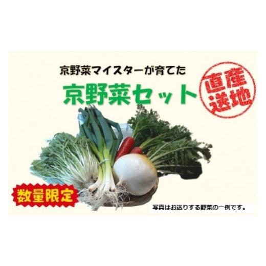 ふるさと納税 京都府 京都市 先行予約京野菜セット ＜数量限定＞