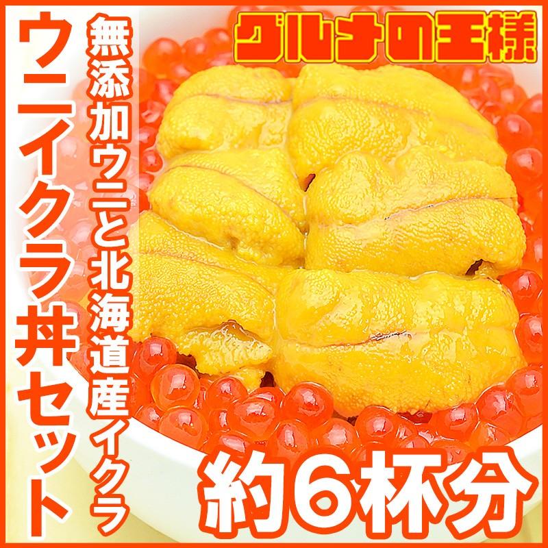 築地市場のウニイクラ丼セット（６杯分・無添加生ウニ３００g＆いくら醤油漬け３００g）海鮮丼で約６杯分 単品おせち 海鮮おせち