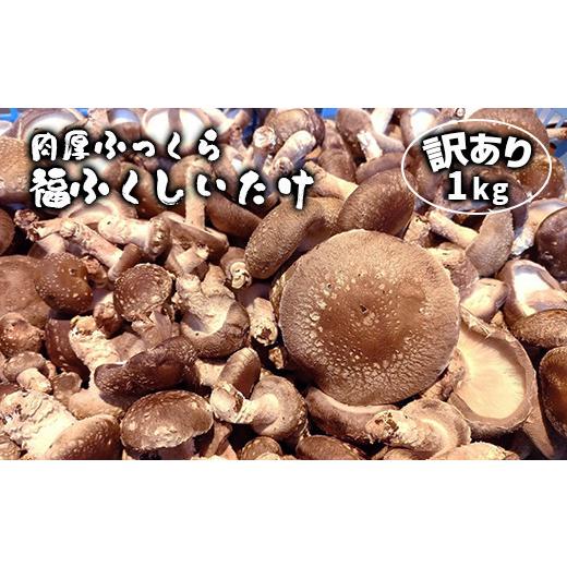 ふるさと納税 岩手県 一関市 肉厚ふっくら 福ふくしいたけ 訳あり品 1kg