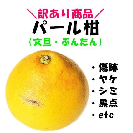 訳あり　パール柑　約４キロ　ご家庭用　文旦　熊本産