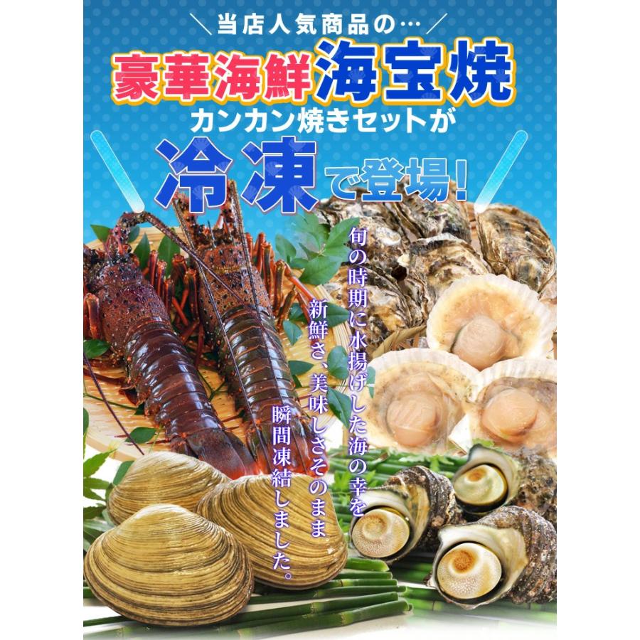 美し国豪華海鮮海宝焼 伊勢海老半割大サイズ４個 ほたて片貝１０個 ホンビノス貝２個 牡蠣４個 さざえ２個 送料無料(ナイフ、片手軍手付)カンカン焼き ミニ缶入