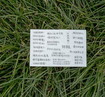 喝杯茶吧 青青的島 文字轉印貼紙 兩張一組