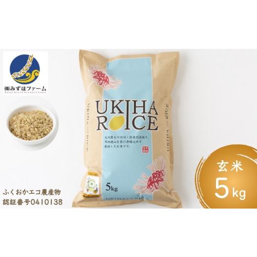 ふるさと納税 福岡県 うきは市 P457-05 みずほファーム UKIHA RICE 玄米5kg