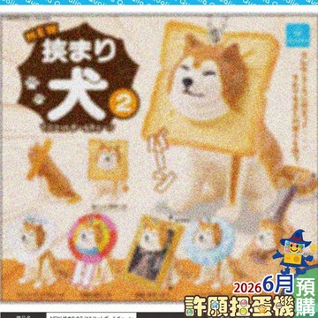 6月『預購』 卡頭柴犬珠鍊吊飾P2 NEW 全5種 扭蛋 轉蛋 Qualia 柴柴 柴犬 吊飾 【許願扭蛋機】