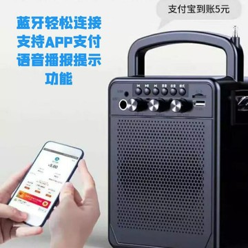 樂器演唱二胡吉他彈唱藍牙小音箱插卡U盤收音機話筒唱歌無線音響