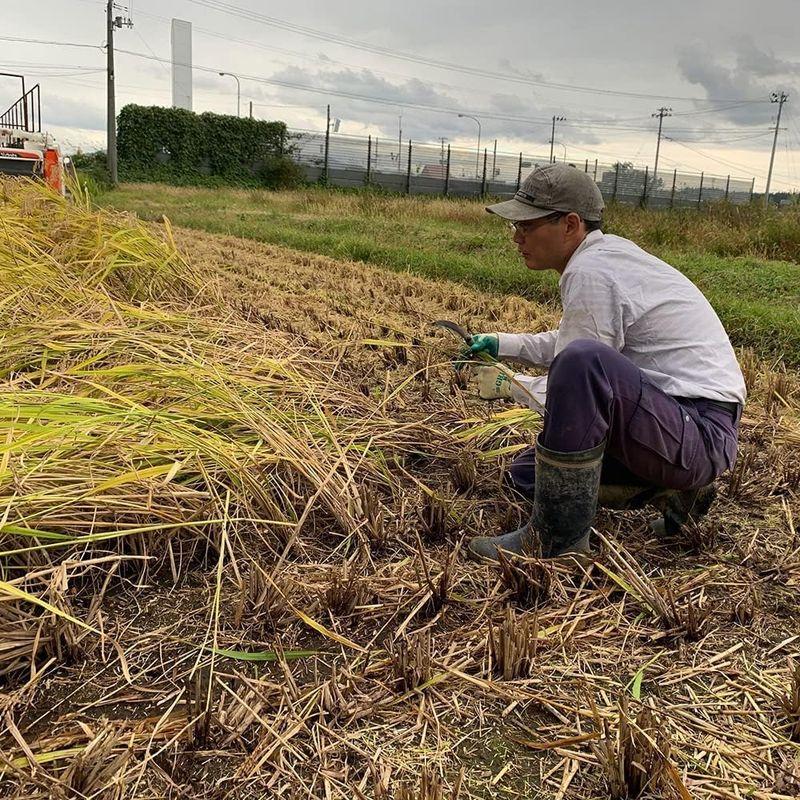 水菜土農園精米令和4年産 秋田県産 あきたこまち 30kg (5kg×6袋) 古代米お試し袋付き